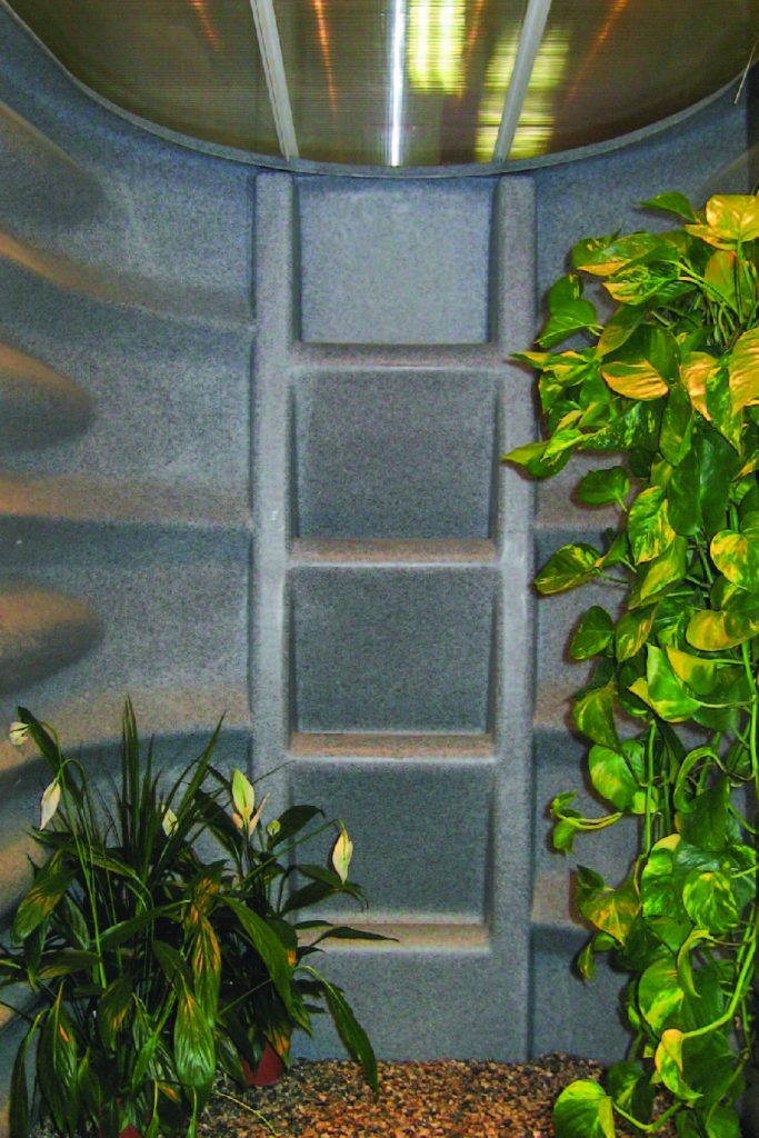 Interior view of a Wellcraft basement egress well with plants growing to add beauty while ensuring families can easily escape up the steps to safety in an emergency.